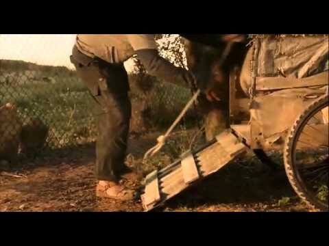 Commedia Dark: Un Genere Insolito da Scoprire