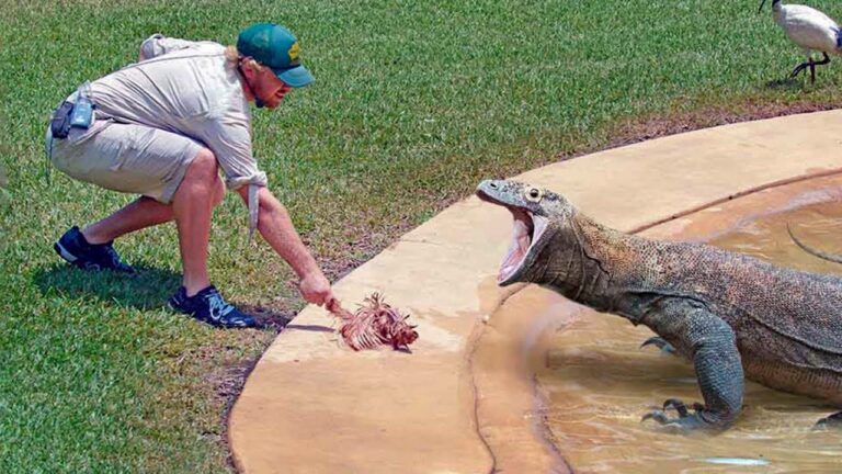 Protagonisti nei Pericoli Letali: Storie di Coraggio e Sopravvivenza
