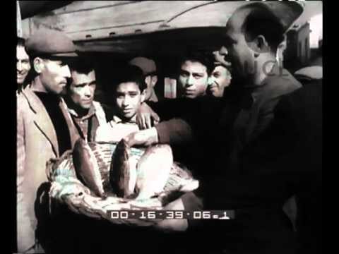 Magie delle Tradizioni Cinematografiche di Natale