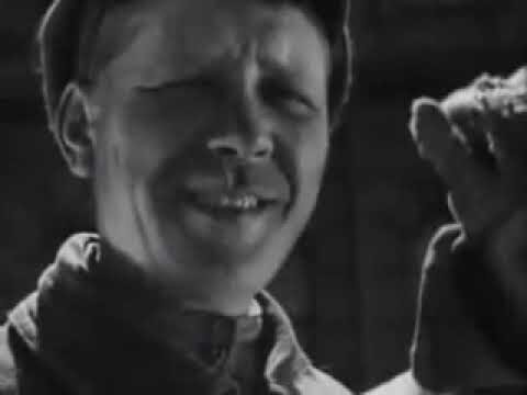 L’importanza della Sinossi nel Cinema d’Autore